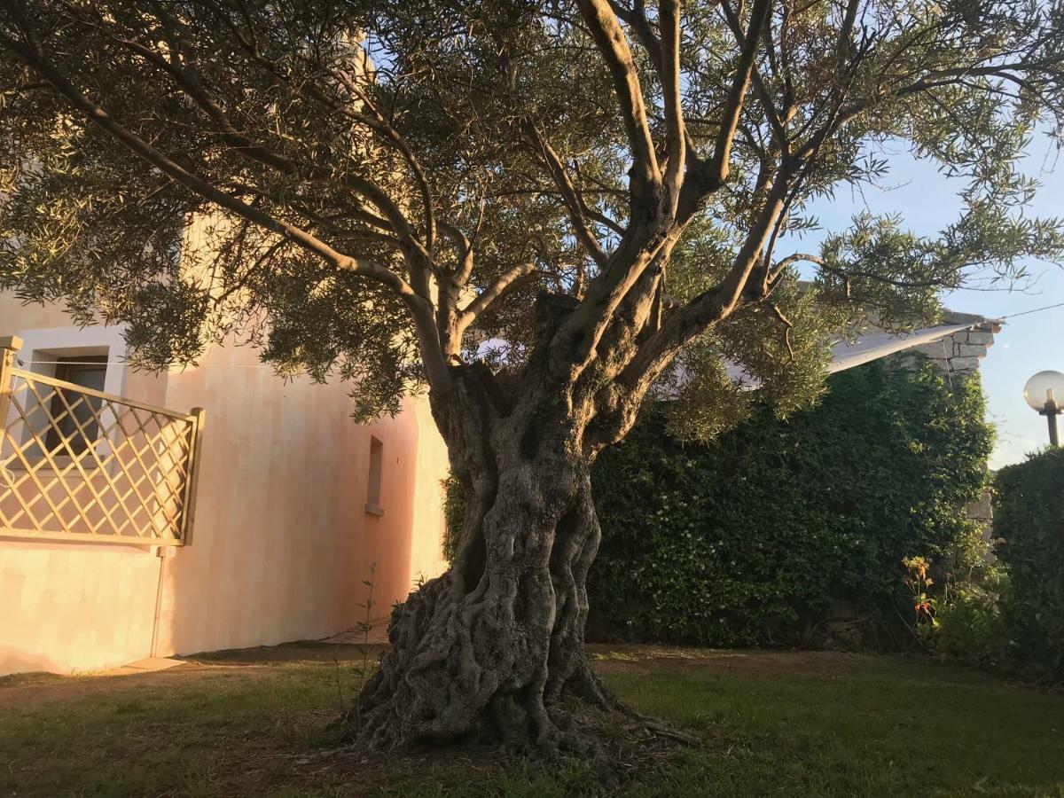 Esmeralda'S Rooms Porto San Paolo  Kültér fotó